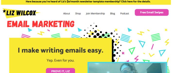 Liz Wilcox Email Marketing